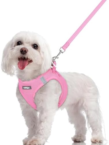rabbitgoo Dog Harness Medium Sized and Leash Set, Step-in Puppy Pet Vest