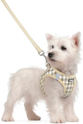 rabbitgoo Dog Harness Small Sized and Leash Set, Step-in Puppy Pet Vest