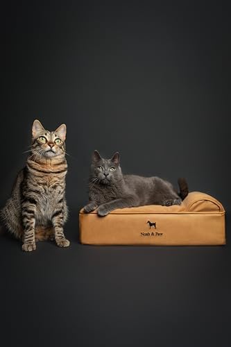 NOAH & PAW Small Dog Bed, 20x15x6.5 Inch, Cat Bed for Indoor Cats, Orthopedic Eggshell Memory Foam Infused with Cooling Gel, Water Resistant, Machine Washable, Includes Inner Cover (Faux Leather)