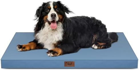Outdoor Extra Large Dog Bed XXL for Giant Breed Dogs