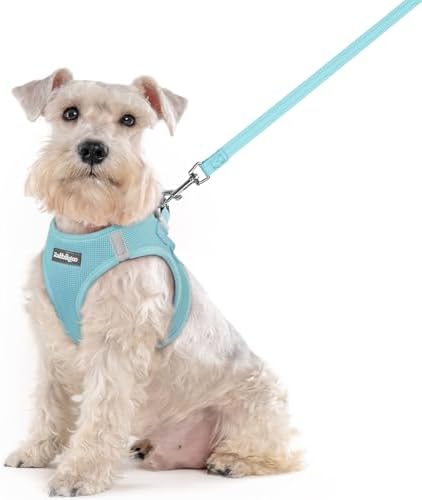 rabbitgoo Dog Harness Medium Sized and Leash Set, Step-in Puppy Pet Vest