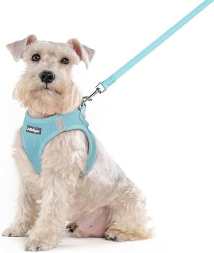 rabbitgoo Dog Harness Medium Sized and Leash Set, Step-in Puppy Pet Vest
