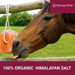 Himalayan Mineral Salt Block on Rope Pack of 4 (3lbs each) – 100% Organic Pink Salt Lick for Horses and Livestock. Deer Attractant with No Harmful Elements.