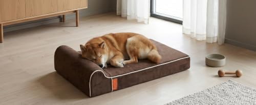 Laifug Orthopedic Memory Foam Dog Bed with Pillow and Durable Water Proof Liner & Removable Washable Cover & Smart Design Medium (34"x22"x5.5"), Chocolate
