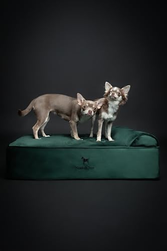 NOAH & PAW Dog Bed, 28x23x7.5 Inch, Orthopedic Dog Beds for Medium Size Pets, Eggshell Memory Foam Infused with Cooling Gel, Water Resistant, Machine Washable, Includes Inner Cover (Velvet Collection)