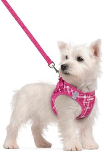 rabbitgoo Dog Harness Small Sized and Leash Set, Step-in Puppy Pet Vest