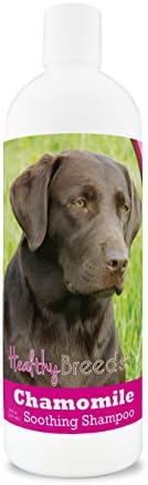 Healthy Breeds Labrador Retriever Chamomile Soothing Dog Shampoo 8 oz