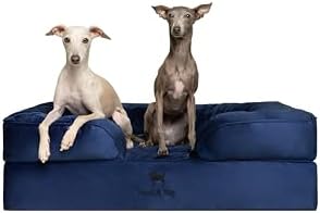 NOAH & PAW Large Dog Bed, 35x25x11 Inch, Orthopedic Dog Beds, Eggshell Memory Foam Infused with Cooling Gel, Inner Cover, Water Resistant, Machine Washable (Velvet Sofa Collection)
