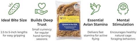 Birds LOVE® 1lb Millet Tips & Tails for Birds – Premium Spray Millet Treat, USA Grown – Natural & Healthy Bird Food for Parakeets, Cockatiels, Budgies, Lovebirds, Finches, Canaries & Parrots – 2 Pack