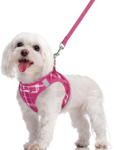 rabbitgoo Dog Harness Medium Sized and Leash Set, Step-in Puppy Pet Vest