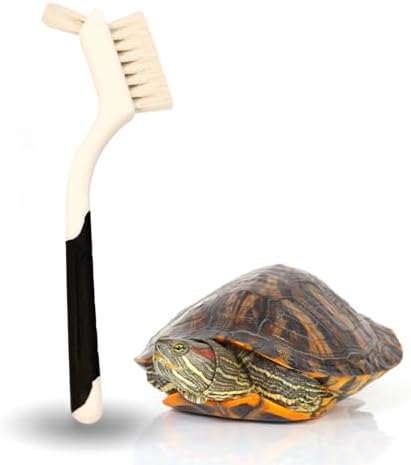 Turtle Cleaning Brush Remove Aquatic Mud, Dirt, & Contaminants from Tortoises Shells & Promoting Shell Health - Goat Hair Bristle Brush with Grip Rubber Handle - White by Snout and Shell