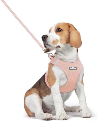 rabbitgoo Dog Harness Medium Sized and Leash Set, Step-in Puppy Pet Vest