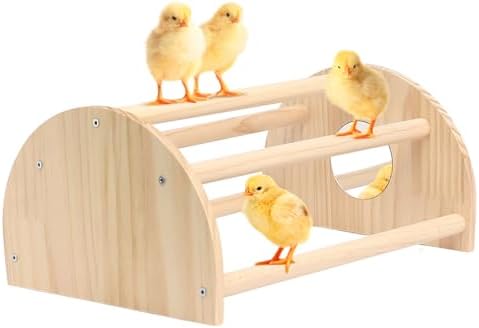 Pine Chicks Perch with Mirror, Strong Chick Jungle Gym Roosting Bar, Chicken Perch Toys for Coop and Brooder, Training Perch Toys for Large Bird, Parrot, Macaw, Hens (Large)