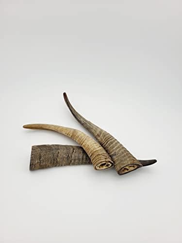 Chews Dried Goat Horns (Small 3 pcs.)