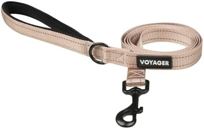 Best Pet Supplies Voyager Nylon Dog Leash - Khaki, Medium