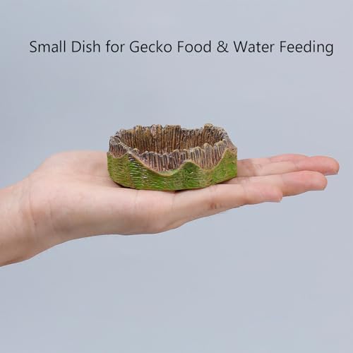 Small Reptile Feeding Dish 2Pack Gecko Food Water Dispenser Worm Bowl with Resin Volcano Decor for Terrarium Leopard Crested Gecko Juvenile Bearded Dragon Lizards Cricket Dubia Feeder