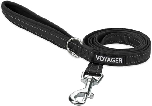 Best Pet Supplies Voyager Nylon Dog Leash - Black, Medium
