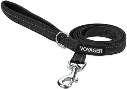 Best Pet Supplies Voyager Nylon Dog Leash - Black, Medium