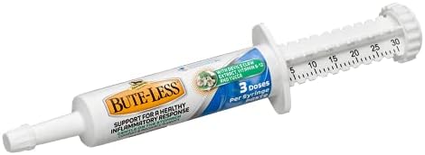 Absorbine Bute-Less Long-Term Horse Comfort & Recovery Supplement Paste, Gentle on Stomach, Devil’s Claw, Vitamin B-12, Yucca, 1oz Syringe / 3 Doses