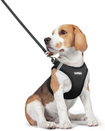 rabbitgoo Dog Harness Medium Sized and Leash Set, Step-in Puppy Pet Vest