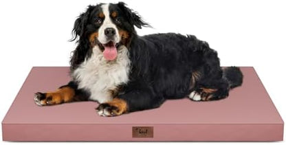 Outdoor Extra Large Dog Bed XXL for Giant Breed Dogs
