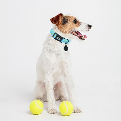 Dog Collar-Tennis Balls Print Adjustable Pet Collars Comfortable Spring Summer Puppy Collar Cute Cotton Durable Collars Gift for Medium Dogs
