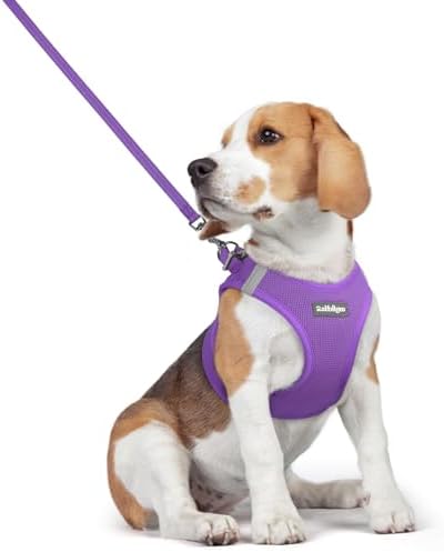 rabbitgoo Dog Harness Medium Sized and Leash Set, Step-in Puppy Pet Vest