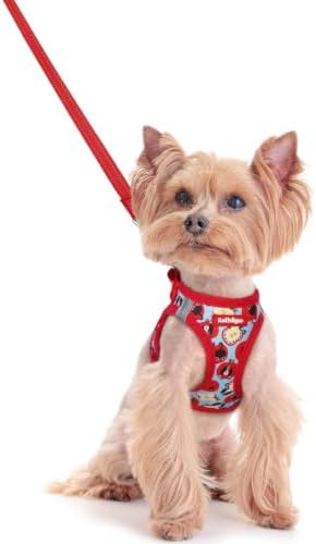 rabbitgoo Dog Harness Small Sized and Leash Set, Step-in Puppy Pet Vest