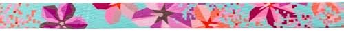 DigiFloral Dog Leash 5/8" x4'