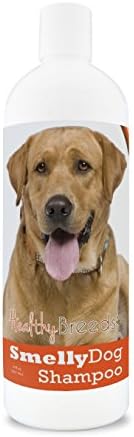 Healthy Breeds Labrador Retriever Smelly Dog Baking Soda Shampoo 8 oz