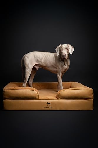 NOAH & PAW XL Dog Bed, 45x35x11 Inch, Orthopedic Large Dog Beds, Eggshell Memory Foam Infused with Cooling Gel, Inner Cover, Water Resistant, Machine Washable (Faux Leather)
