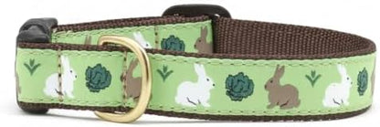 Up Country Garden Rabbit Pattern (Garden Rabbit Dog Collar, Medium (12 to 18 Inches) 5/8 Inch Narrow Width)