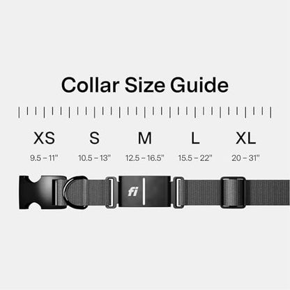Fi Series 3+ GPS Dog Collar & Tracker, 12-Mo Membership Included, Gray M