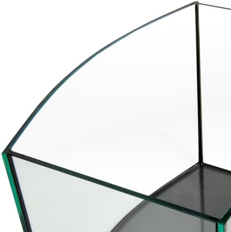 Aquatop EuroStyle Bowfront - 6.1-Gallon Nano Semi-Circle Glass Aquarium, Safe for Freshwater & Saltwater, Desktop Fish Tank, Panoramic, ES-16