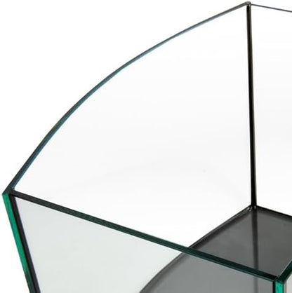 Aquatop EuroStyle Bowfront - 6.1-Gallon Nano Semi-Circle Glass Aquarium, Safe for Freshwater & Saltwater, Desktop Fish Tank, Panoramic, ES-16