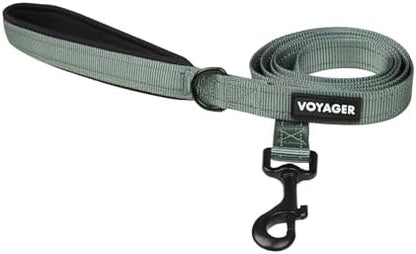 Best Pet Supplies Voyager Nylon Dog Leash - Moss Green, Small
