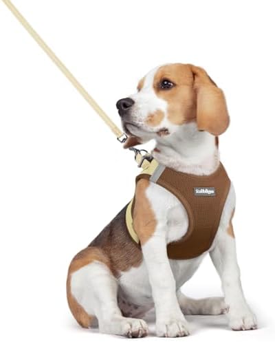 rabbitgoo Dog Harness Medium Sized and Leash Set, Step-in Puppy Pet Vest