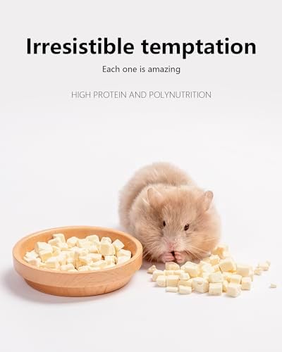 Niteangel Hamster Snack & Treats Toy - Freeze-Dried Tofu No Additive