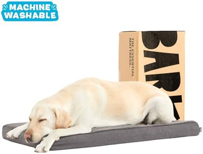 BarkBox Orthopedic Dog Bed - Large