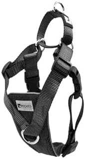 RC Pets Tempo No Pull Dog Harness, Medium, Heather Teal