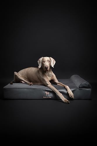 NOAH & PAW XL Dog Bed, 45x35x9.1 Inch, Orthopedic Large Dog Beds, Eggshell Memory Foam Infused with Cooling Gel, Water Resistant, Machine Washable, Includes Inner Cover (Faux Leather)