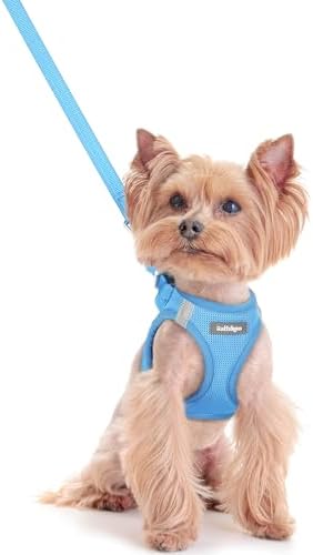 rabbitgoo Dog Harness Small Sized and Leash Set, Step-in Puppy Pet Vest
