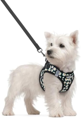 rabbitgoo Dog Harness Small Sized and Leash Set, Step-in Puppy Pet Vest