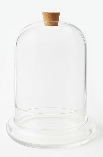 Handblown 12" Glass Terrarium with Opening for Air Flow & Cork Stopper Cloche Style Glass Dome Vivarium Display Case (Extra Large)