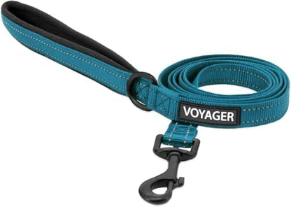 Best Pet Supplies Voyager Nylon Dog Leash - Turquoise, Large