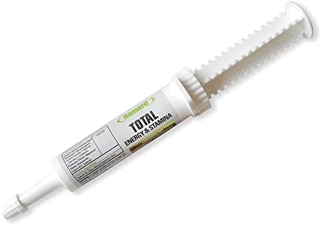 Ramard Total Energy and Stamina Support with B Vitamins & Amino Acids, Maximizes Oxygen Capacity, Peak Performance in Competition or Workouts, Powerful Vasodilator, Oral Gel, 15 cc Syringe, 1-Pack