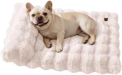 SOMAHE Cat Bed and Small Dog Bed Mat, Raised Pillow, 27 x 20 Inch, White