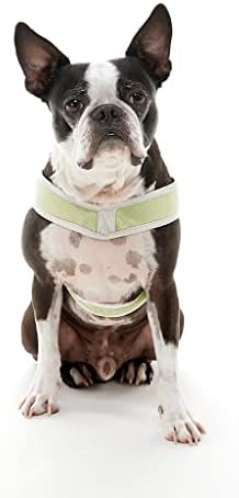 Gooby Simple Step-in III Dog Harness, Green, Small