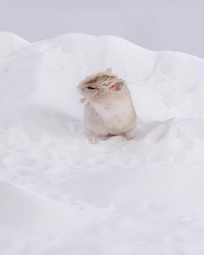 Niteangel Hamster Desert Bath Sand: 2.5lb/40oz No-Dust Bath & Easy to Clump