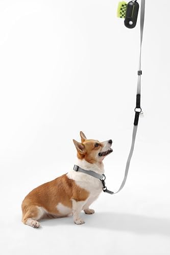 Medium Luna 8FT Adjustable 6-in-1 Waterproof Hands-Free Leash and Collar Set with LED Flashlight, Waste Bag Dispenser, and Poop Bag Holder, Gray Black, Martini WLK1005N-5SET